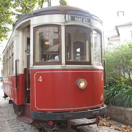 Tram Apartments シントラ 部屋 写真